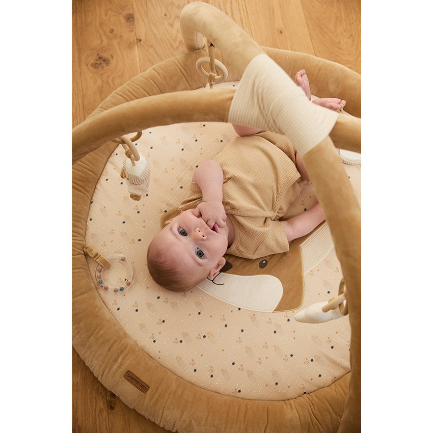 Tapis d'éveil avec arches amovibles - Bande de Rêveurs - Prémaman