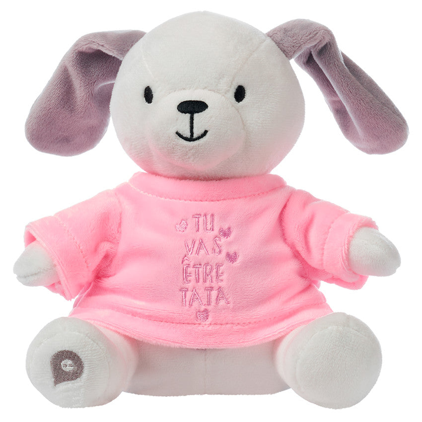 Habillage pour peluche annonce de naissance "tu vas être tata" - Prémaman