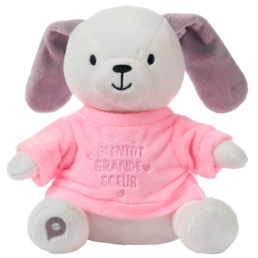 Dressing for plush birth announcement "you're going to be a big sister" - Prémaman