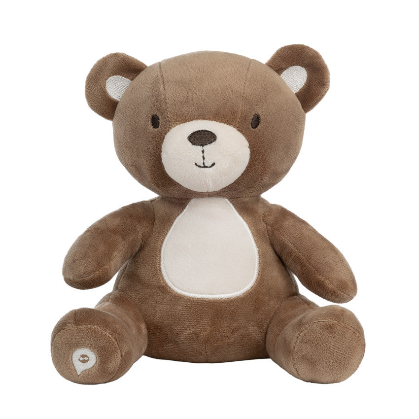 Brown bear plush toy - 20cm - Prémaman